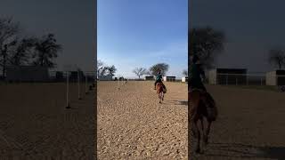 Me and my ottb attempt pole bending for the first time.