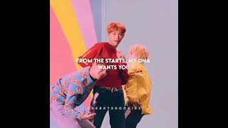 BTS dna english lyrics