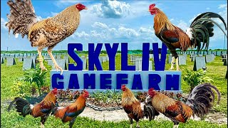 Lets Visit The Farm Of Skyliv Gamefarm