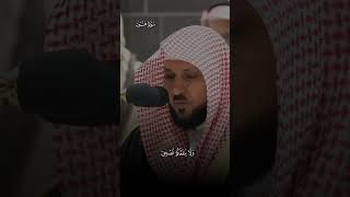 قَالُوا۟ یَـٰنُوحُ قَدۡ جَـٰدَلۡتَنَا |ماتيسر من سورة هود|فضيلة الشيخ ماهر المعيقلي |ارح قلبك