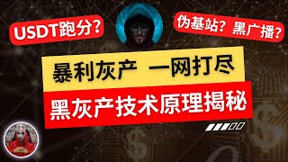 2024年最新揭秘灰产项目技术原理和运营模式 全网独家！什么是静默安装、肉刷、机刷、积分墙？黑广播和伪基站是怎么骗钱的？什么是USDT跑分？什么是发卡平台？黑产灰产项目赚钱模式揭秘！