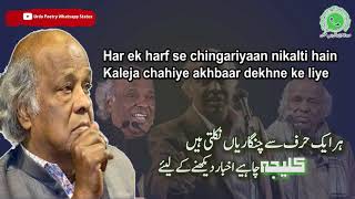 Rahat Indori compilation best shayari | In the memory of Rahat Indori