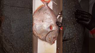 Fileting Opah Moonfish Paling Langka