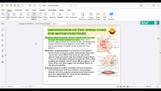 Spinal Cord Reflexes - part 1