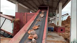 coir extraction machine rjs engineering 9940797099