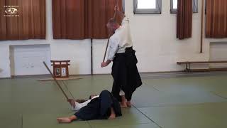 Aikido Kumijo Stéphane Goffin