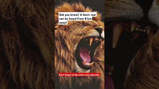 Lion facts | Amazing lion facts | Lion short vedio #viralshort #lions #lion