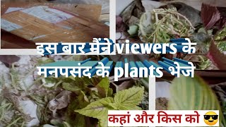 parmanent plants किस को भेजा और कहां