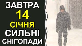 ПОГОДА НА ЗАВТРА: 14 ЯНВАРЯ 2024 | Точная погода на день в Украине