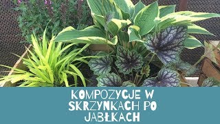 Kompozycje w skrzynkach po jabłkach