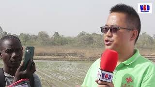 China Gambia Agriculture Project Conducts Annual Demonstration Of Fully Mechanized Rice Production