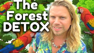 My body Detox in the forest