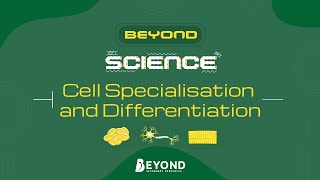 Beyond Science: Cell Biology - Cell Specialisation and Differentiation