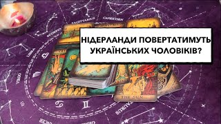 Нідерланди планують повертати українських чоловіків додому? #нідерланди #українці #повернення