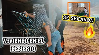 113~ SE SECARON LOS PINOS Y LOS TRITURE🔥JAULA CON MATERIAL RECICLADO ♻️#vlog #campo #reciclando