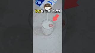 맨날 먹는데 몰랐음