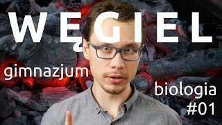 Jesteś zbudowany z WĘGLA (gimnazjum biologia #01)