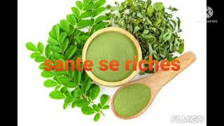 vinn gade 5 benefis moringa genyen pou sante nou