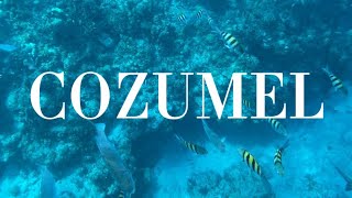 Cozumel Mexico | Day Trip