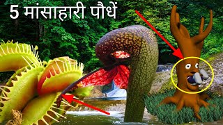 5 मांसाहारी पौधे | 5 Carnivorous plant eating animals | #CobraLily #डायोनिया_मस्कीप्यूला