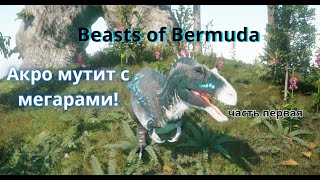 Beasts of Bermuda. АКРО МУТИТ С МЕГАРАМИ! Часть первая.