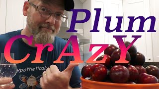 How to Make Croatian PLUM BRANDY/RAKIA/SLIVOVITZ!