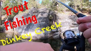 Dinkey Creek Trout Fishing!!