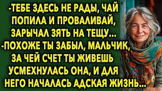 “Тебе здесь не рады, чай попила и проваливай” - зарычал зять на тещу...