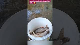 Amazing fish 🐠🐋🐟 catching by the man in the 🍃💦fresh pond#fishcatching #shortsvideo #shorts 🤔