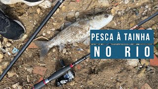 Pesca à Tainha no Rio