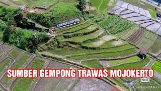 SUMBER GEMPONG TRAWAS. Drone