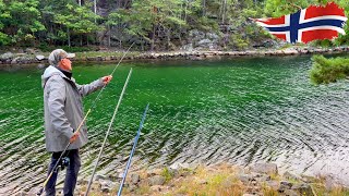 Норвегія - Форель і Скумбрія біля дому 🇳🇴 Рибна протока - серія 12. Риболовля в Норвегії з берега