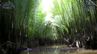 Cagayan de Oro (CDO) Mangrove Kayaking, 28Sep2014