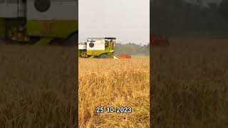 Harvesting 💪🏻👍🏻 paddy #trending #farming #tractorzone #viral #song #youtubeshorts