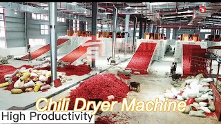 sus304 mesh belt pulse air supply chili dryer machine industry agricultural products dryer