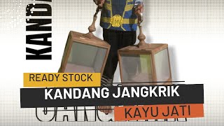 KANDANG JANGKRIK (Ready Stock) KAYU JATI