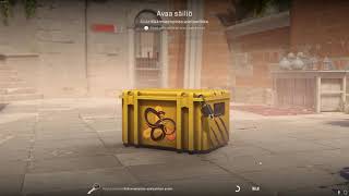 DAY 268 OPENING CS2 CASES UNTIL I GET GOLD!