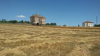 Hasat zamanı, Yuva köyü, Ankara