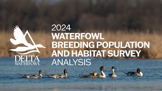 2024 Waterfowl Breeding Population and Habitat Survey Analysis