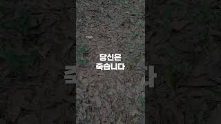 다음 생에 뵙겠습니다