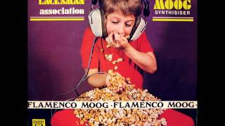 Dan Lacksman Association Flamenco Moog 1972 Lonely Days