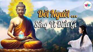 Rốt Cuộc ĐỜI NGƯỜI Sống Vì Điều Gì, phật dạy cuộc sống nghe nhiều nhưng thấu được bao nhiêu.