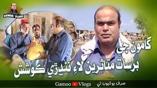 Gamoo Ji Barsat Mutasiran Laye Nandiri Koshish | Asif Pahore (GAMOO) | Gamo Vlogs