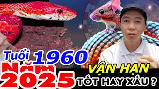 VẬN HẠN Canh Tý 1960 Năm Ất Tỵ 2025 TỐT HAY XẤU ? Phong Thủy 100 Năm - 0886736347 (Zalo)