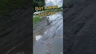 Как вам въезд на пляж/А деньги за въезд берут😱😀