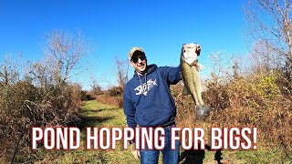 The Hidden World of Private Pond Fishing: Landing MEGA Bass!