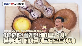 사내방송 241108 신상 플레인 베이글, 블루베리 베이글출시!  에그타르트도 ! 바보아빠우유 행사