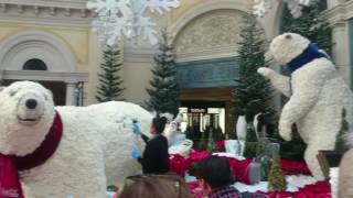 Botanical Gardens @ The Bellagio, Las Vegas Christmas 2016