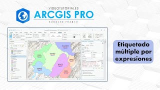 ArcGis Pro - Etiquetado múltiple por expresiones