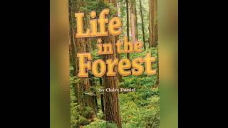 Life in the Forest By Claire Daniel Read Aloud